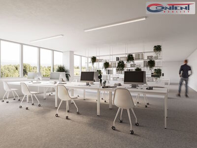 Pronájem skladu, výrobních prostor 18.200 m², Tachov - 67009