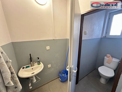 Pronájem skladu, výrobních prostor 8.000 m², Žatec - 67059