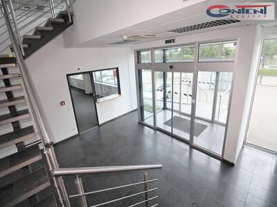 Pronájem výrobních prostor, skladu 4.000 m², Plzeň - Blatnice, D5 - 67245