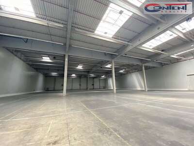 Pronájem skladu, výrobních prostor 13.992 m², Cerhovice, D5 - 67273