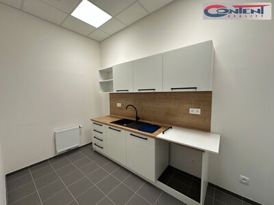 Pronájem skladu, výrobních prostor 4.533 m², Příšovice, D10 - 67138