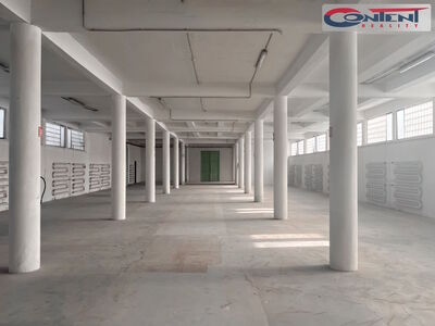 Pronájem skladu, výrobních prostor 2.000 m², Přerov - 67494