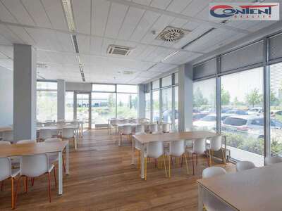 Pronájem skladu, výrobních prostor 4.890 m², Ostrava - Hrabová, D56 - 67564