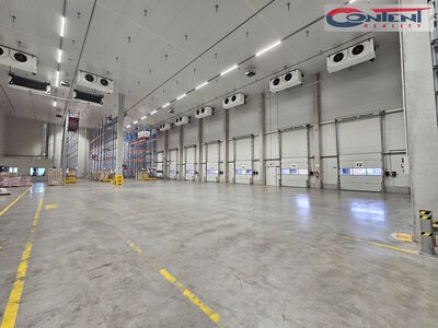 Pronájem skladu, výrobních prostor 11.500 m², Chomutov, D7 - 67918