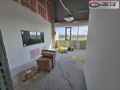 Pronájem skladu, výrobních prostor 10.355 m², Kozomín D8 - 68041