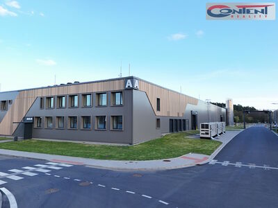 Pronájem skladu, výrobních prostor 5.249 m², Tachov - 68248