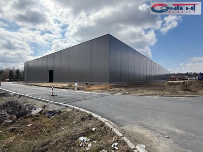 Pronájem skladu, výrobních prostor 5.249 m², Tachov - 68253