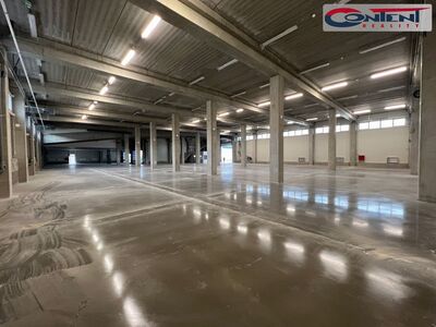 Pronájem skladu, výrobních prostor 3.931 m², Popůvky - 68627