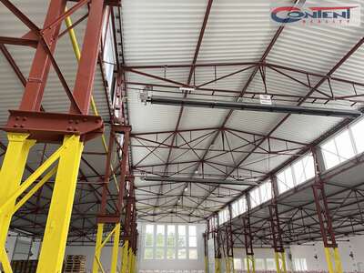Pronájem skladu, výrobních prostor 12.000 m², Praha - východ, Čelákovice - 68745