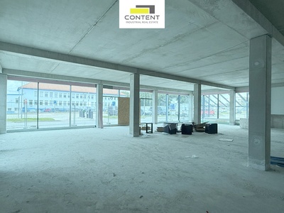 Pronájem skladu, výrobních prostor 1100 m², České Budějovice - 68910