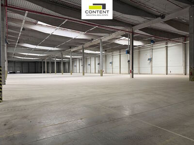 Pronájem skladu, výrobních prostor 6.928 m², Bor u Tachova, D5 - 71613