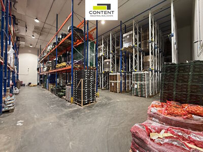 Pronájem skladu, výrobních prostor 4712 m², Uhříněves - Praha 10 - 72308
