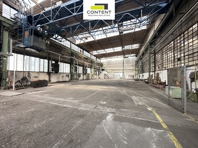 Pronájem skladu, výrobních prostor 1.009 m², Plzeň - Skvrňany - 74288