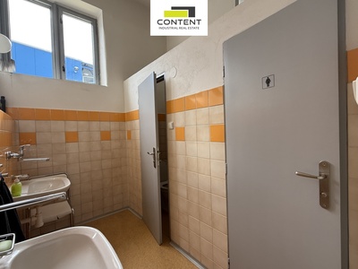 Pronájem skladu nebo výrobních prostor 730 m²,  Plzeň - Doubravka - 78550