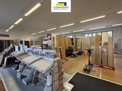 Pronájem skladu nebo výrobních prostor 730 m²,  Plzeň - Doubravka - 78553