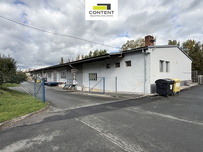 Pronájem skladu nebo výrobních prostor 730 m²,  Plzeň - Doubravka - 78560