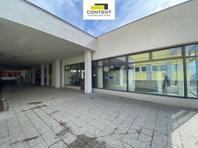 Pronájem multifunkčních industriálních prostor 380 m², Plzeň - Lochotín - 80835