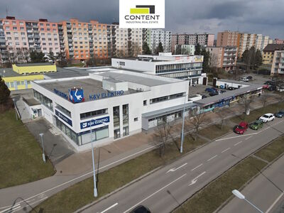 Pronájem multifunkčních industriálních prostor 380 m², Plzeň - Lochotín - 80838