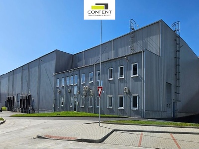 Pronájem novostavby skladu, výrobních prostor 4.129 m², Lovosice - 87629