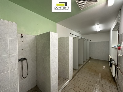 Pronájem skladu, výrobních prostor 7.684 m², Most - 91878