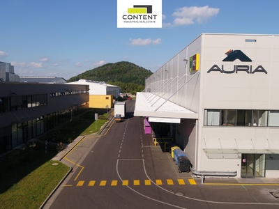 Pronájem skladu, výrobních prostor 7.066 m², Zákupy - 93231