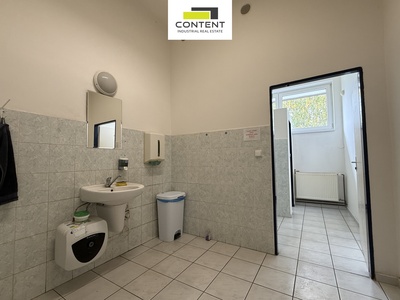 Pronájem skladu nebo výrobních prostor 2513 m²,  Plzeň - Doubravka - 94389