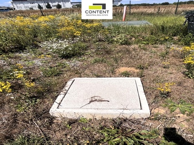 Pronájem zahradnictví 17.000 m² Nupaky, dálnice D1 - 95869