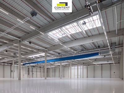 Pronájem výrobních prostor, skladu 6.183 m², Hustopeče, D7 - 97318