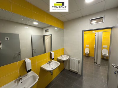 Pronájem skladu, výrobních prostor  1.313 m², Praha 9 Horní Počernice, D10 - 99359