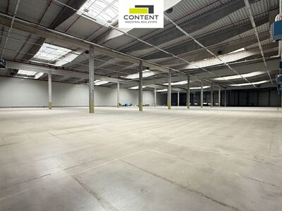 Pronájem skladu, výrobních prostor 12.208 m², Hrušky, D2 - 100186