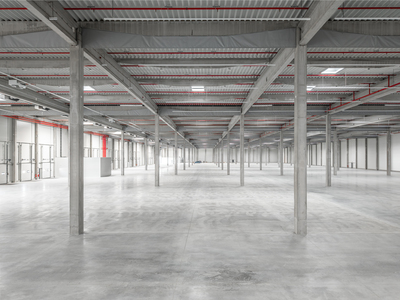 Pronájem novostavby skladu, výrobních prostor 10.500 m², Mošnov - 104965