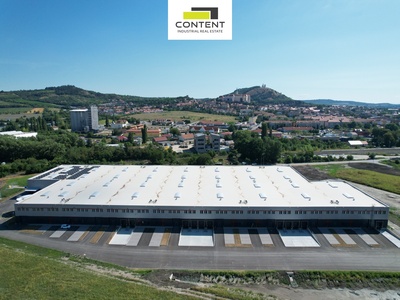 Pronájem novostavby skladu, výrobních prostor 13.850 m², Mikulov - 106802
