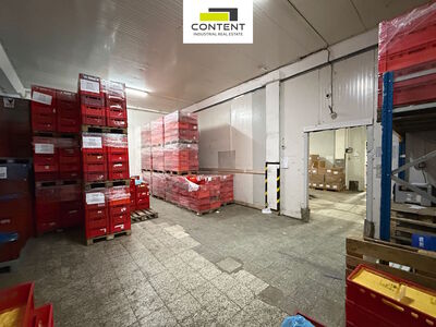 Pronájem skladových prostor 1050 m², Praha 4, Chodov  - 107162