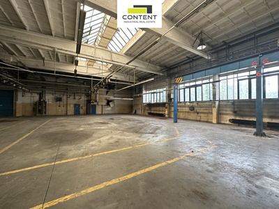Pronájem skladu, výrobních prostor 9.000 m², Příbram - 109403