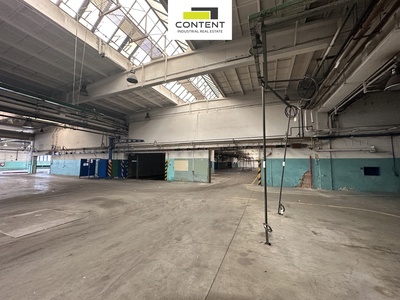 Pronájem skladu, výrobních prostor 9.000 m², Příbram - 109404