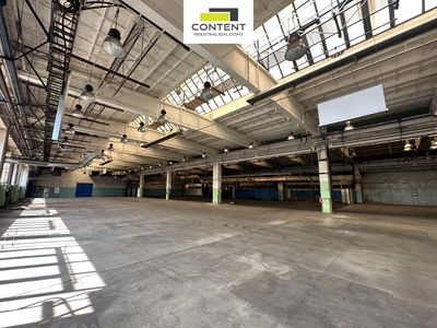 Pronájem skladu, výrobních prostor 9.000 m², Příbram - 109395