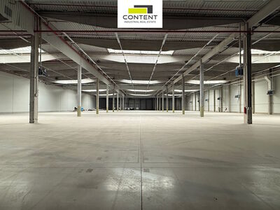 Pronájem skladu, výrobních prostor 34.895 m², Ostrava, D1 - 110299