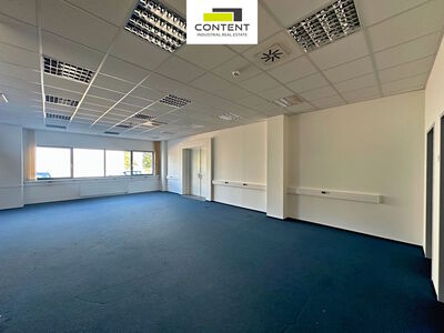 Pronájem skladu, výrobních prostor 550 m², Chrášťany - 110343