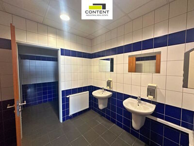 Pronájem skladu, výrobních prostor 550 m², Chrášťany - 110346