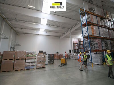 Pronájem skladu, výrobních prostor 4.439 m², Olomouc - Nemilany - 110374