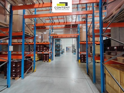 Pronájem skladu nebo výrobních prostor, 3.719 m², Červený Kostelec, D11 - 110981