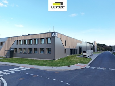 Pronájem skladu, výrobních prostor 10.368 m², Tachov - 110988