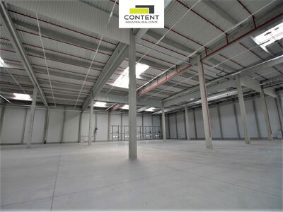 Pronájem skladu, výrobních prostor 4.744 m², Plzeň, Borská pole, D5 - 113994