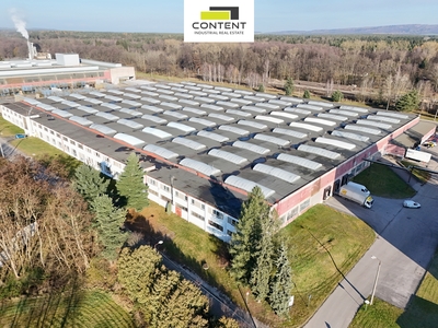 Pronájem skladu / výrobních prostor 22 300 m² - Týniště nad Orlicí - 114224