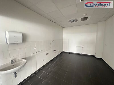 Pronájem skladu, výrobních prostor 5.897 m², Ústí nad Labem, D8 - 114375