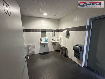 Pronájem skladu, výrobních prostor 5.897 m², Ústí nad Labem, D8 - 114376