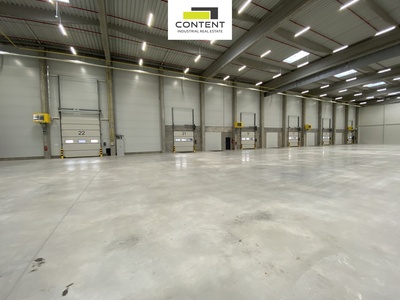 Pronájem skladu, výrobních prostor 16.000 m², Plzeň - 114818